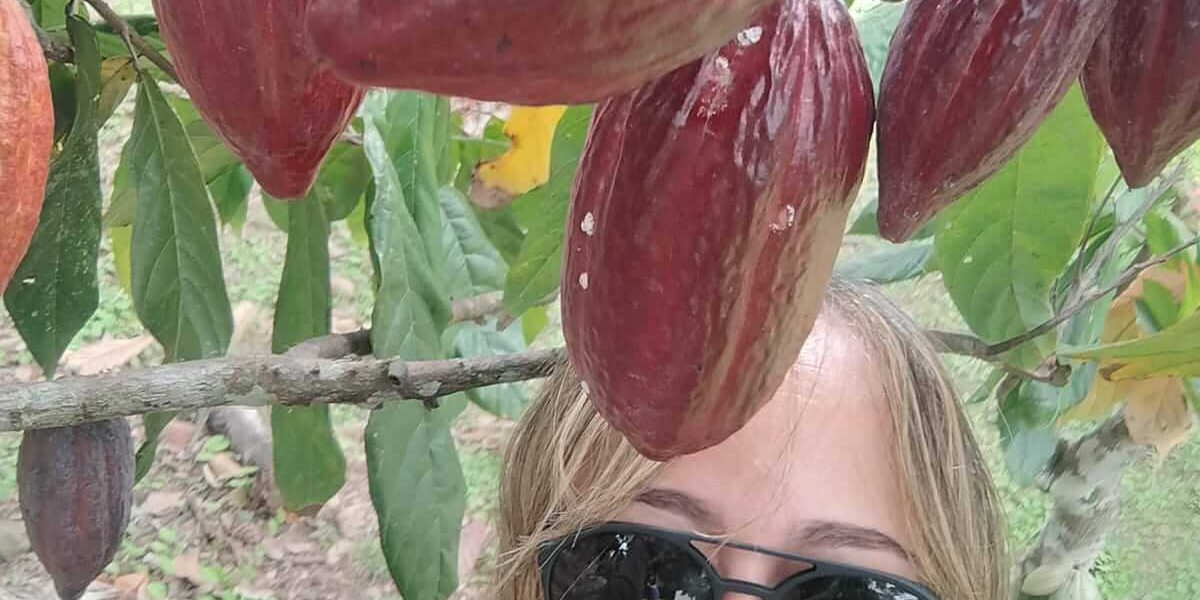 Chocolate (17)