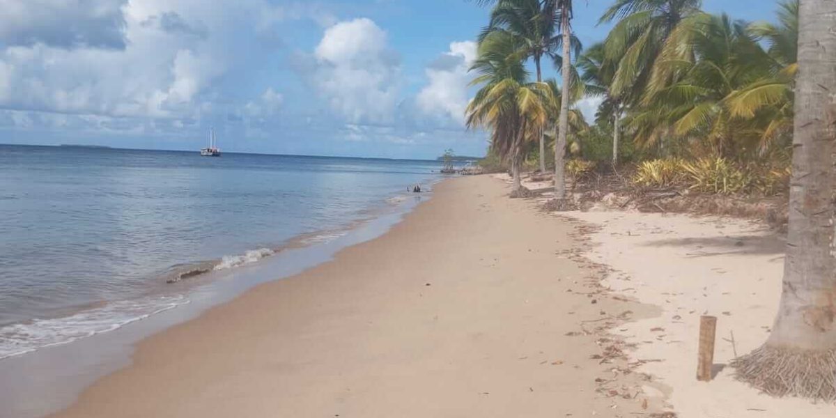 Marau (36)