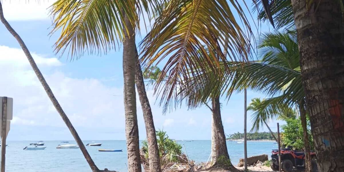 Marau (39)