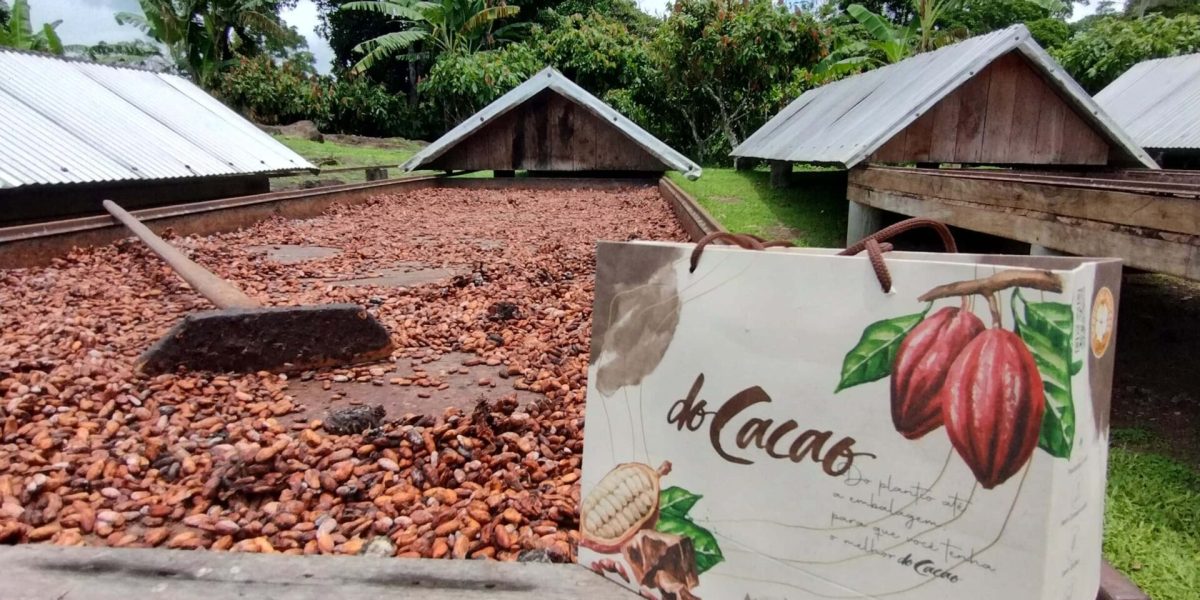 chocolate_ (10)